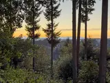 17315 102nd  in Bothell