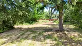 21842 Elbow Lake  in Yelm