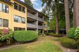 11638 100th  in Kirkland