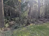 10325 Totem  in Anderson Island