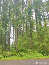 10014 Edgewood  in Anderson Island