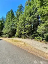 0 XXX Balmoral  in Shelton