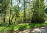 10515 Edgewood  in Anderson Island