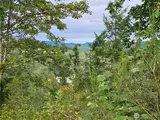 390 Satsop  in Elma