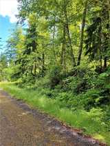 9211 Eckenstam Johnson  in Anderson Island