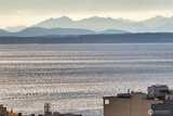 2100 3rd  in Seattle