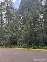 11022 Admiralty  in Anderson Island