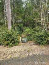 51 Blackberry  in Union