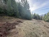 115 Ridge Lane  in Packwood