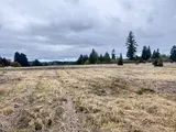0 Tennessee  in Winlock