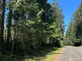 10312 Paine  in Anderson Island
