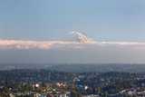 1301 Spring  in Seattle