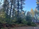 11815 Dogwood  in Anderson Island