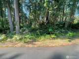 10416 107th  in Anderson Island