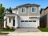 22878 Yew  in Black Diamond