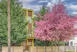 4809 Delridge  in Seattle