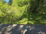 13811 Starflower  in Yelm