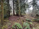 10110 Selma  in Anderson Island