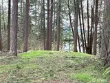 18243 Suncrest  in Yelm