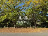 219 Tilley  in Centralia