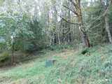 323 Short  in Morton