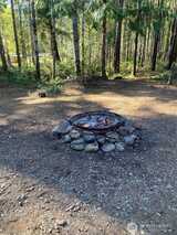 10 Tyee  in Hoodsport