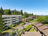 10823 Glen Acres  in Seattle