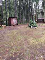 10 Tyee  in Hoodsport