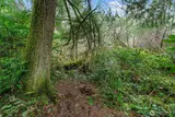 0 220th  in Vashon