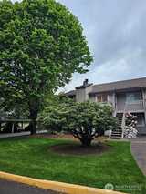 14200 171  in Woodinville