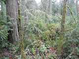 11404 Breaker  in Anderson Island