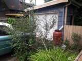 4052 Burton  in Seattle