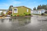 5326 Bald Eagle  in Olympia