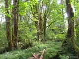 0 Lot 11 Valley View  in Mossyrock