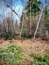 0 Holiday  in Packwood