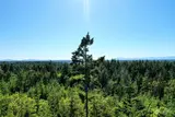 1415 208th  in Lakebay