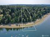 402 Philura  in Shelton