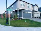 18709 Lipoma  in Puyallup