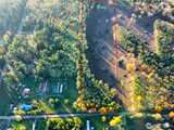 0 Lot 3, E Agate Loop Rd  in Shelton