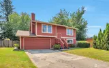 32007 Palace  in Carnation