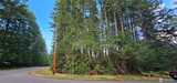 10115 Edgewood  in Anderson Island