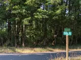 10519 Suncrest  in Anderson Island