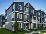 32396 Vine  in Black Diamond
