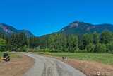 131 Campfire  in Packwood
