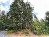 17513 Clear Lake  in Yelm