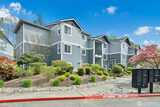 250 Dogwood  in Issaquah