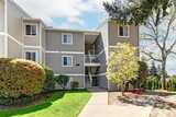 12429 130th Court  in Kirkland
