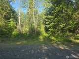 13721 Starflower  in Yelm