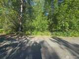13823 Starflower  in Yelm