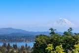 7044 50th  in Seattle